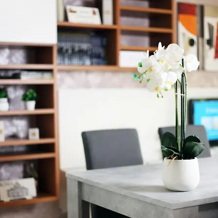 Apartamento Vatican Holidays House