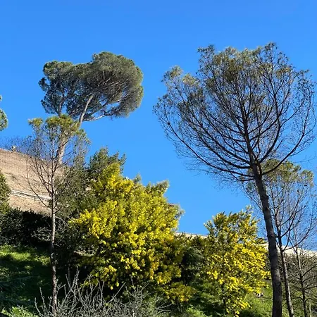 아파트 Vatican Holidays House 로마